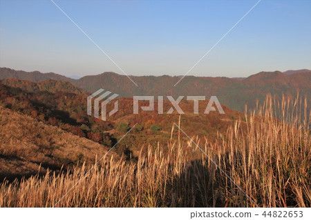 Hachi plateau ski resort (photographed from near the top of Takamaruyama mountain peak) late October 44822653