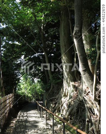 在Abiko市的Tenjinzaka 44822659