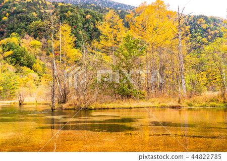<<Nagano Prefecture>> Kamikochi, Tashiroike <<Evening view>> 44822785
