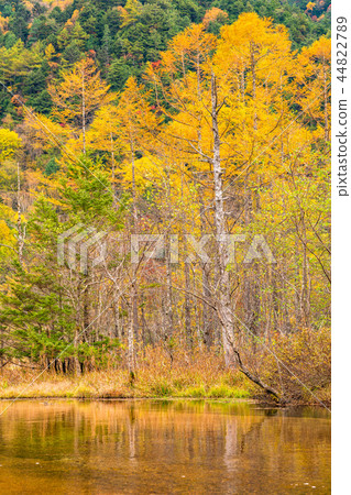 <<Nagano Prefecture>> Kamikochi, Tashiroike <<Evening view>> <<Nagano Prefecture>> Kamikochi, Tashiroike <<Evening view>> 44822789