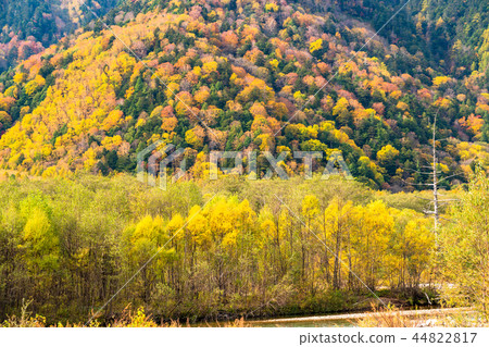 Kamikochi Autumn Kamikochi，晚上風光 44822817