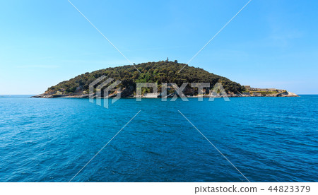 Tino island, La Spezia, Italy 44823379