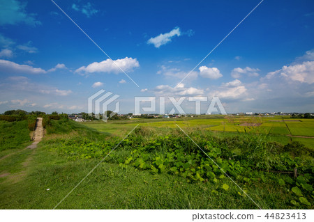 Sakitama Kofun Park Landscape from the Inarisan Kofun Yukuda City, Saitama Prefecture 44823413