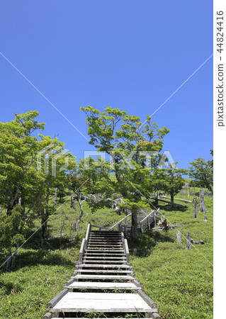 Odaigahara Masaki Akira 2018 summer Odaigahara Masaki Akira 2018 summer 44824416