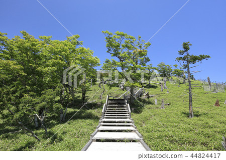 Odaigahara Masaki Akira 2018 summer 44824417