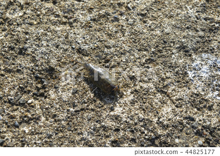 Bird's-eye view 44825177