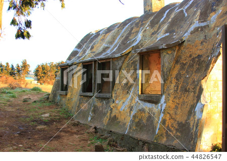 Te chiffon, house, life shot 44826547