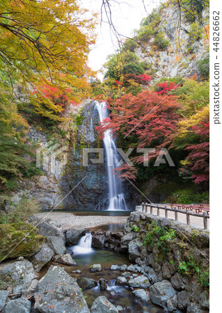 Waterfall of Minoo in autumn Waterfall of Minoo in autumn 44826662