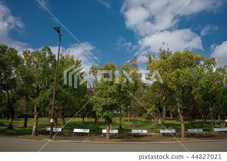Park and bench and blue sky Park and bench and blue sky 44827021