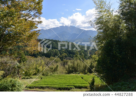 從摩週酒店的視圖 44827288