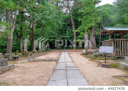 元極科科石岩墓 44827456