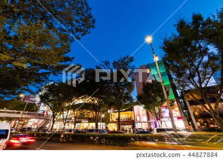 Night view of Omotesando Night view of Omotesando 44827884