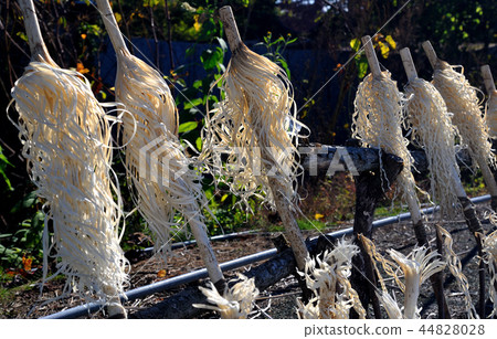 Kamu Inomi Inau Ainu ceremony 44828028