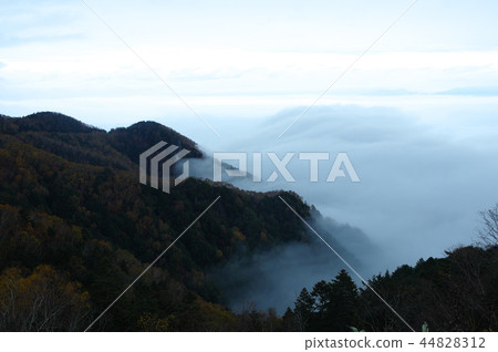 Sakai Ogawara雲彩海 44828312