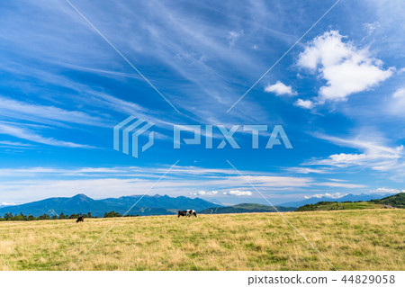 "Nagano Prefecture" Midagahara ranch, large sky 44829058