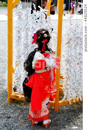 Shichigosan girl Shichigosan girl 44829524