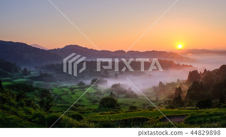 梯田（早晨） 44829898