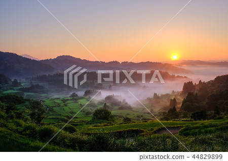 Terraced rice terrace (morning view) Terraced rice terrace (morning view) 44829899