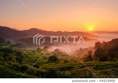 梯田(早晨) 梯田(早晨) 44829900