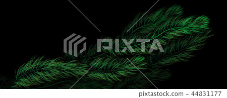 Water plants _ illustration Water plants _ illustration 44831177