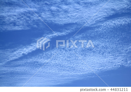  空 44831211