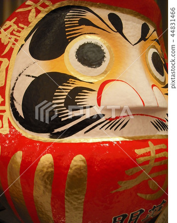高崎Daruma 高崎Daruma 44831466