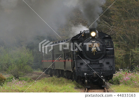 Moka Railway SL and Akisakura 44833163