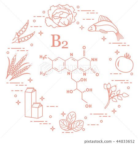 Foods rich in vitamin B2 Fish, peas and other. Foods rich in vitamin B2 Fish, peas and other. 44833652
