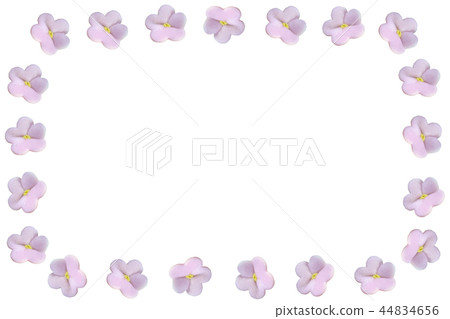 Candy flower frame 44834656