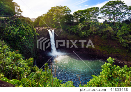 Majesitc Rainbow Falls waterfall in Hilo Majesitc Rainbow Falls waterfall in Hilo 44835488