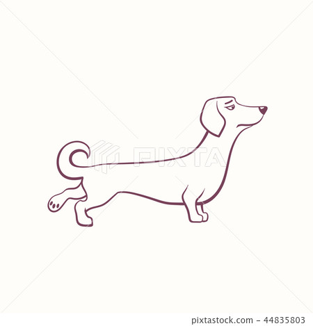 Cartoon dachshund in the ink contour style 44835803