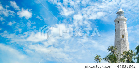 Lighthouse, lagoon and tropical palms Lighthouse, lagoon and tropical palms 44835842