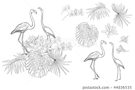 Set of elements for design with tropical plants 44836535