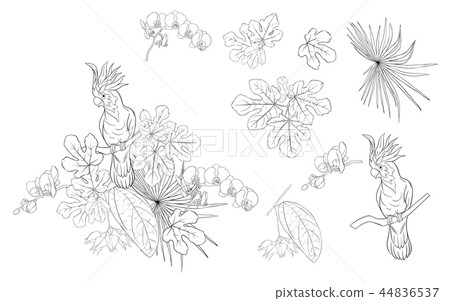 Set of elements for design with tropical plants 44836537