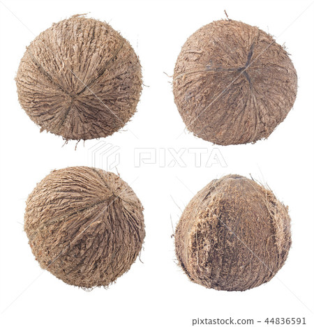 coconuts isolated on white background  44836591
