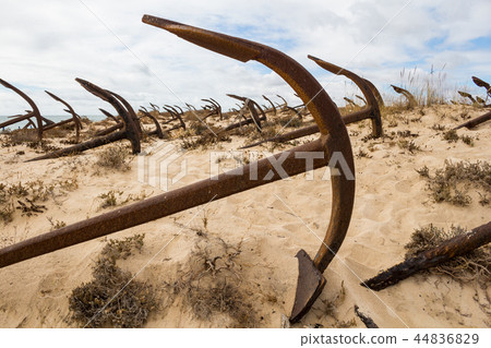 Cemetery of the anchors, Tavira, Portugal Cemetery of the anchors, Tavira, Portugal 44836829
