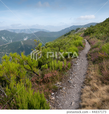 Camino Primitivo, Asturias, Spain 44837173