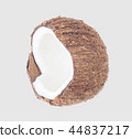 coconuts isolated on gary background clipping path 44837217