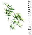 bamboo isolated on gray background  44837226