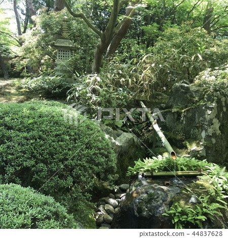 日本庭園 日本庭園 44837628