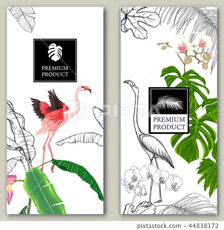 Set of two templates for label with tropic 44838172