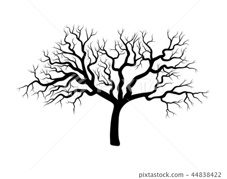 bare tree winter design isolated on white  44838422