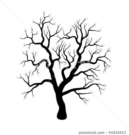 bare tree winter design isolated on white  44838423