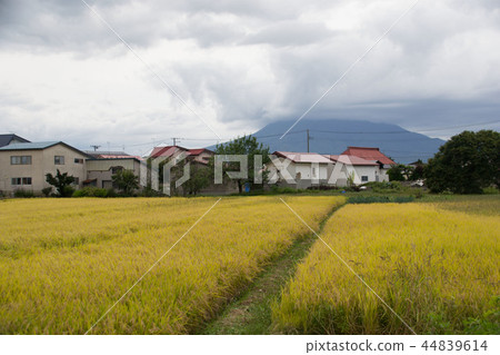 青森縣 44839614