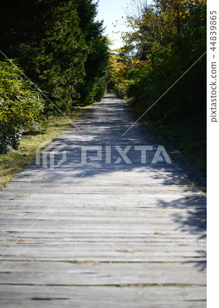 Early autumn walking path 44839865