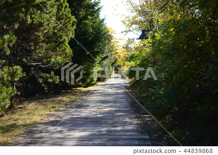 Early autumn walking path 44839868