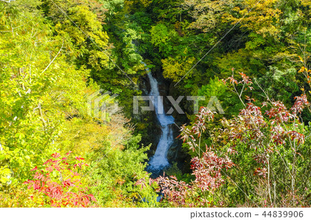 Fall of the gabion of autumn leaves 44839906