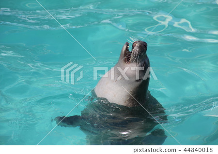Under the sea "Tokari" _ Monbetsu Under the sea "Tokari" _ Monbetsu 44840018