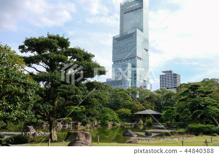 An oasis in the city 44840388