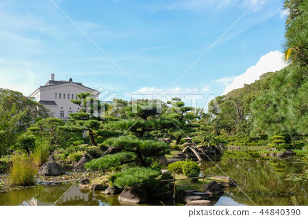 Pruned garden trees 44840390